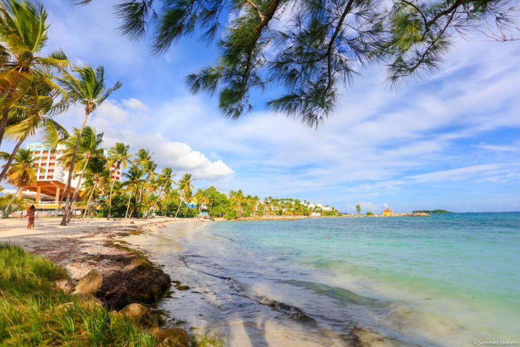 Paradis Studio & Plage A 1 Min Le Gosier  Buitenkant foto