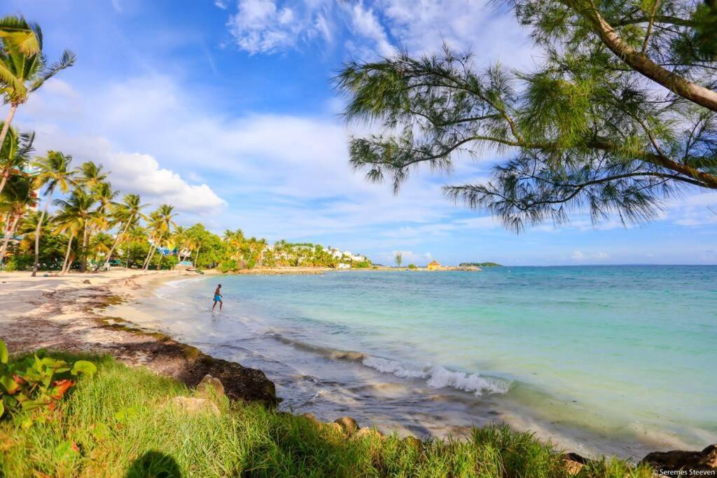 Paradis Studio & Plage A 1 Min Le Gosier  Buitenkant foto